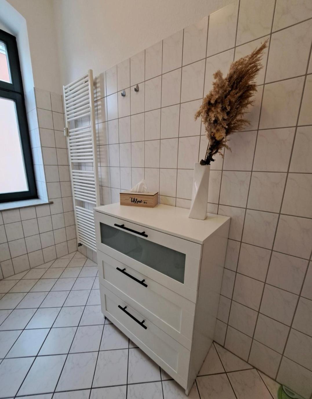 Stilvolle Ferienwohnung دريسدن المظهر الخارجي الصورة